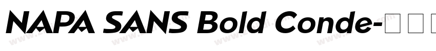 NAPA SANS Bold Conde字体转换